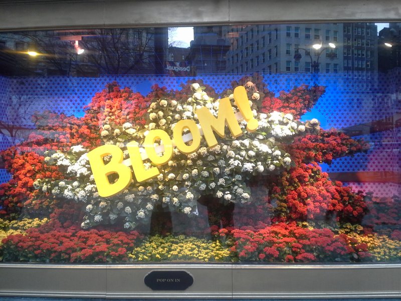 Macy's Flower Show picture 40868