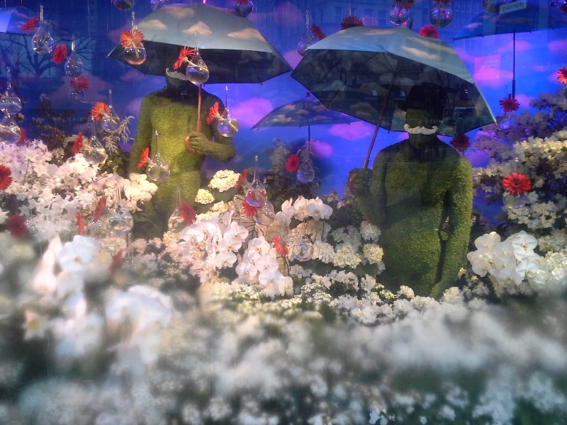 Macy's Flower Show picture 40867