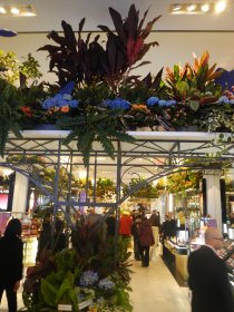 Macy's Flower Show (Marec 2015) Macy's Flower Show (Marec 2015)