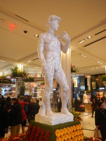 Macy's Flower Show (March 2015) Macy's Flower Show (March 2015)