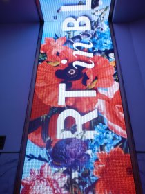 Macy's Flower Show (March 2015) Macy's Flower Show (March 2015)
