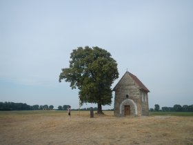 Kopčany (Júl 2015) Kopčany (Júl 2015)