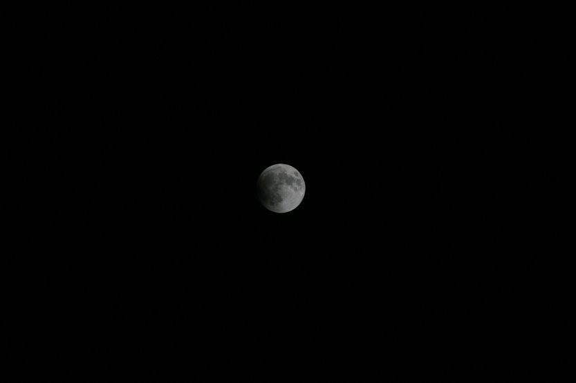 Lunar Eclipse picture 42259