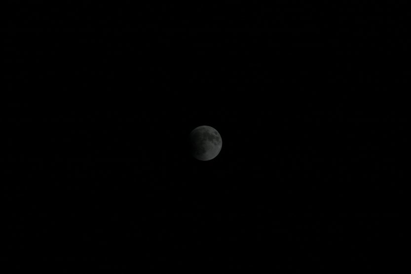 Lunar Eclipse picture 42260