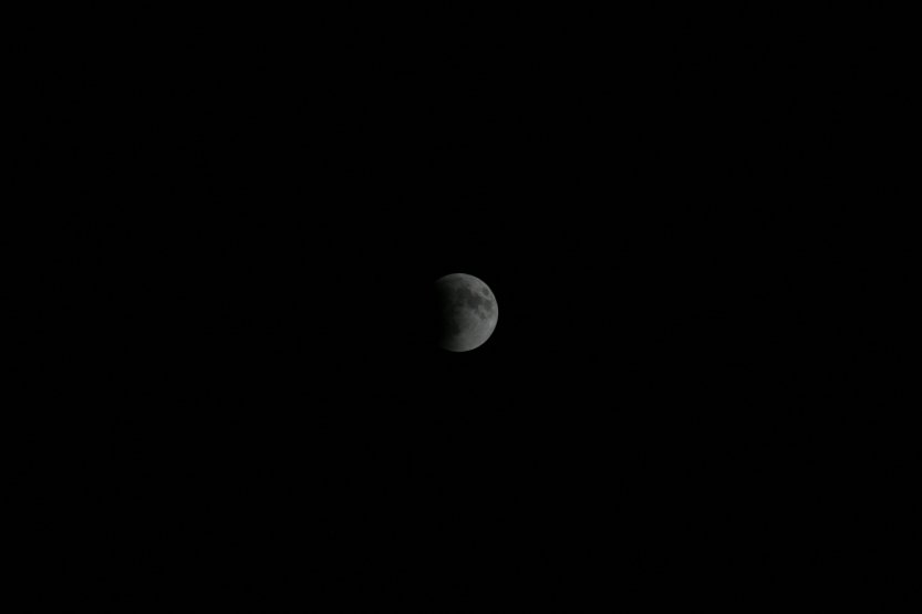 Lunar Eclipse picture 42261