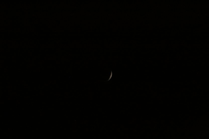 Lunar Eclipse picture 42264