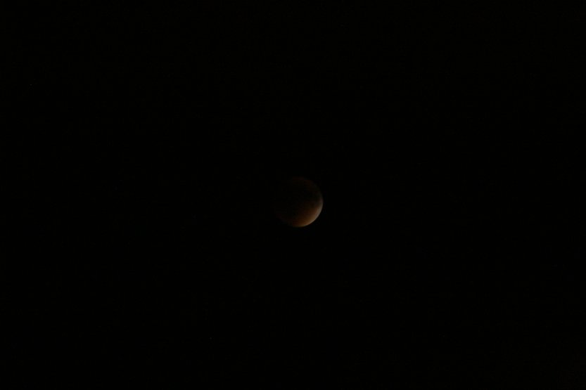 Lunar Eclipse picture 42270