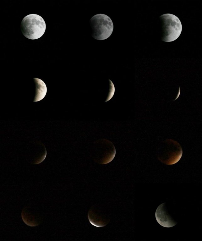 Lunar Eclipse picture 42271