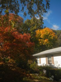 Beautiful autumn day (October 2015) Beautiful autumn day (October 2015)