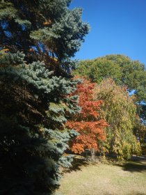 Beautiful autumn day (October 2015) Beautiful autumn day (October 2015)