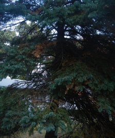 Beautiful autumn day (October 2015) Beautiful autumn day (October 2015)