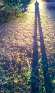 Beautiful autumn day (November 2015) Beautiful autumn day (November 2015)