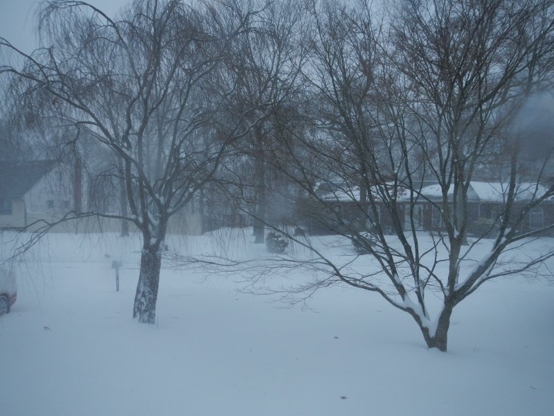 ...and here comes the blizzard