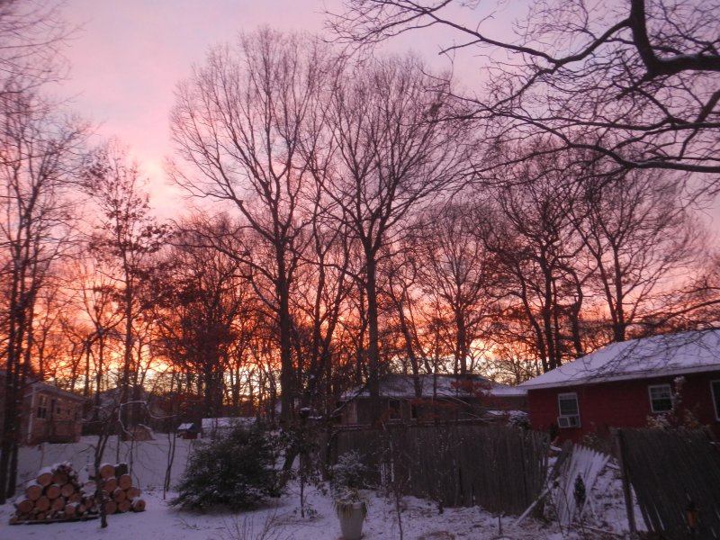 Flaming sky on the backyard as I am preparing to leave.