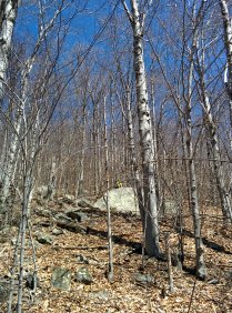 End of season at Hunter (April 2016) End of season at Hunter (April 2016)