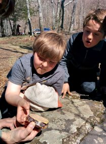 We found turtle (April 2016) We found turtle (April 2016)