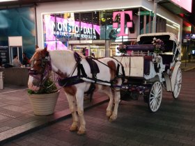 Exploring Manhattan (September 2016) Exploring Manhattan (September 2016)