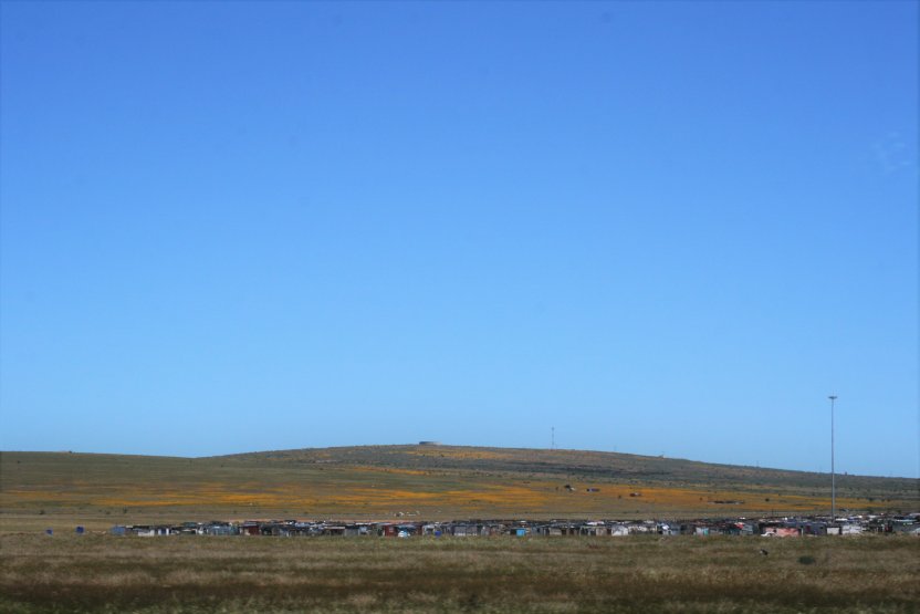 Namaqualand and other blooming places picture 43816