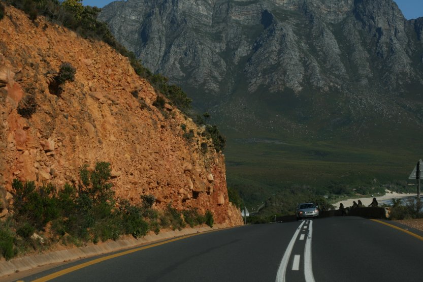 Baboons next to road picture 43614