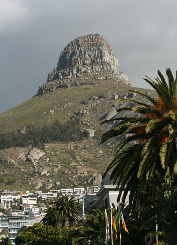 Signal Hill (Seinheuwel)