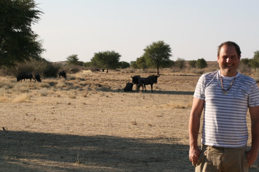 Kgalagadi Transfrontier Park picture 43660