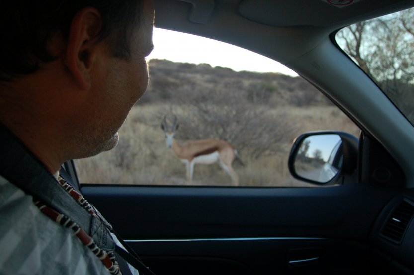 Kgalagadi Transfrontier Park picture 43677