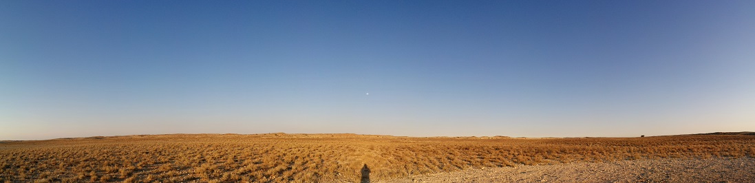 Moon above the desert