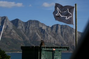 Sharkwatch (October 2016) Sharkwatch (October 2016)