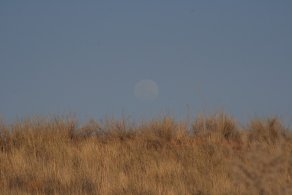 Moon (October 2016) Moon (October 2016)