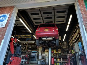 Autumn in Selden (November 2016) Autumn in Selden (November 2016)