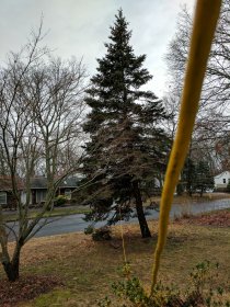 We will need longer extension cord (December 2016) We will need longer extension cord (December 2016)