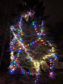 ...a po (December 2016) ...a po (December 2016)