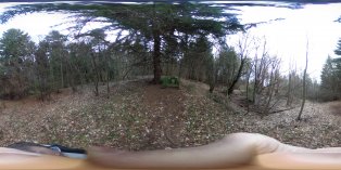 A partisan's grave (March 2017) A partisan's grave (March 2017)