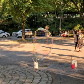 Central Park (June 2017) Central Park (June 2017)