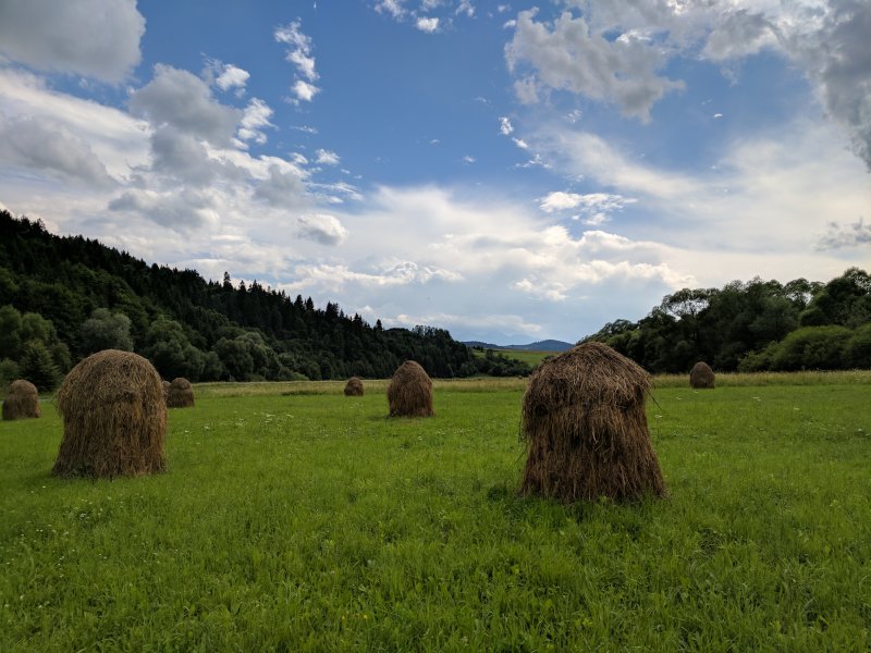 Pieniny - Dunajec picture 45026