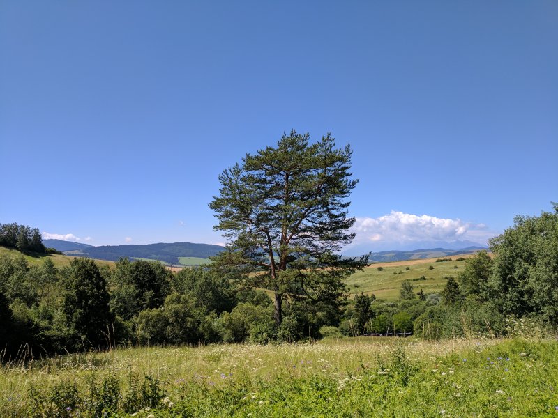 Tatry in the distance