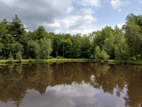 "Woodstock" - Woods Bash 2017 (August 2017) "Woodstock" - Woods Bash 2017 (August 2017)