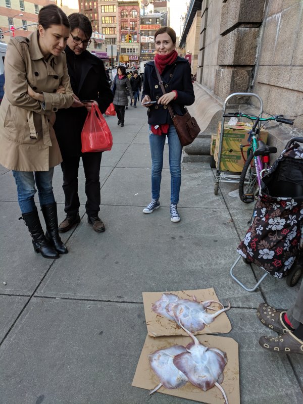 Street market