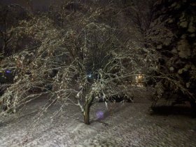 First snow (December 2017) First snow (December 2017)