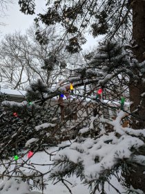 Lights (December 2017) Lights (December 2017)