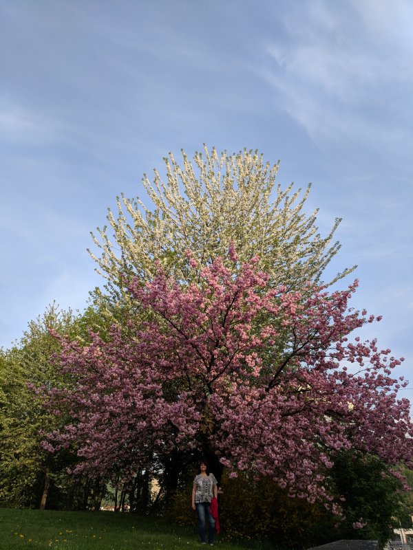 Spring near the memorial