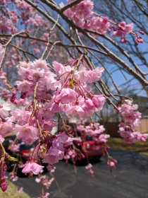 Spring cleaning (April 2018) Spring cleaning (April 2018)