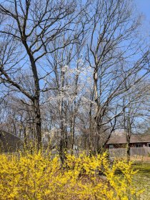 Spring cleaning (April 2018) Spring cleaning (April 2018)
