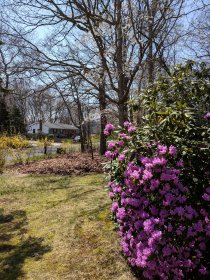 Spring cleaning (April 2018) Spring cleaning (April 2018)
