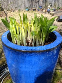 Spring cleaning (April 2018) Spring cleaning (April 2018)