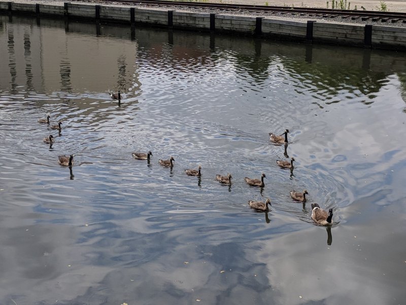 Walking Schuylkill River Trail