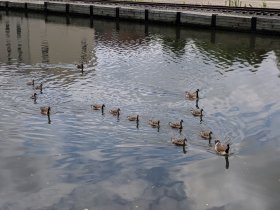 Prechádzka po Schuylkill River Trail (Jún 2018) Prechádzka po Schuylkill River Trail (Jún 2018)