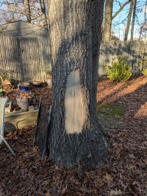 Weekend (December 2018) Weekend (December 2018)