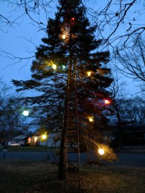 Weekend (December 2018) Weekend (December 2018)