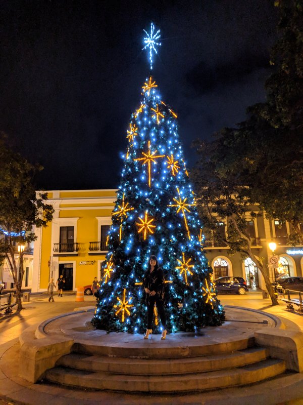 A same tree on the main square - this time with the object of known size next to it (December 2018)